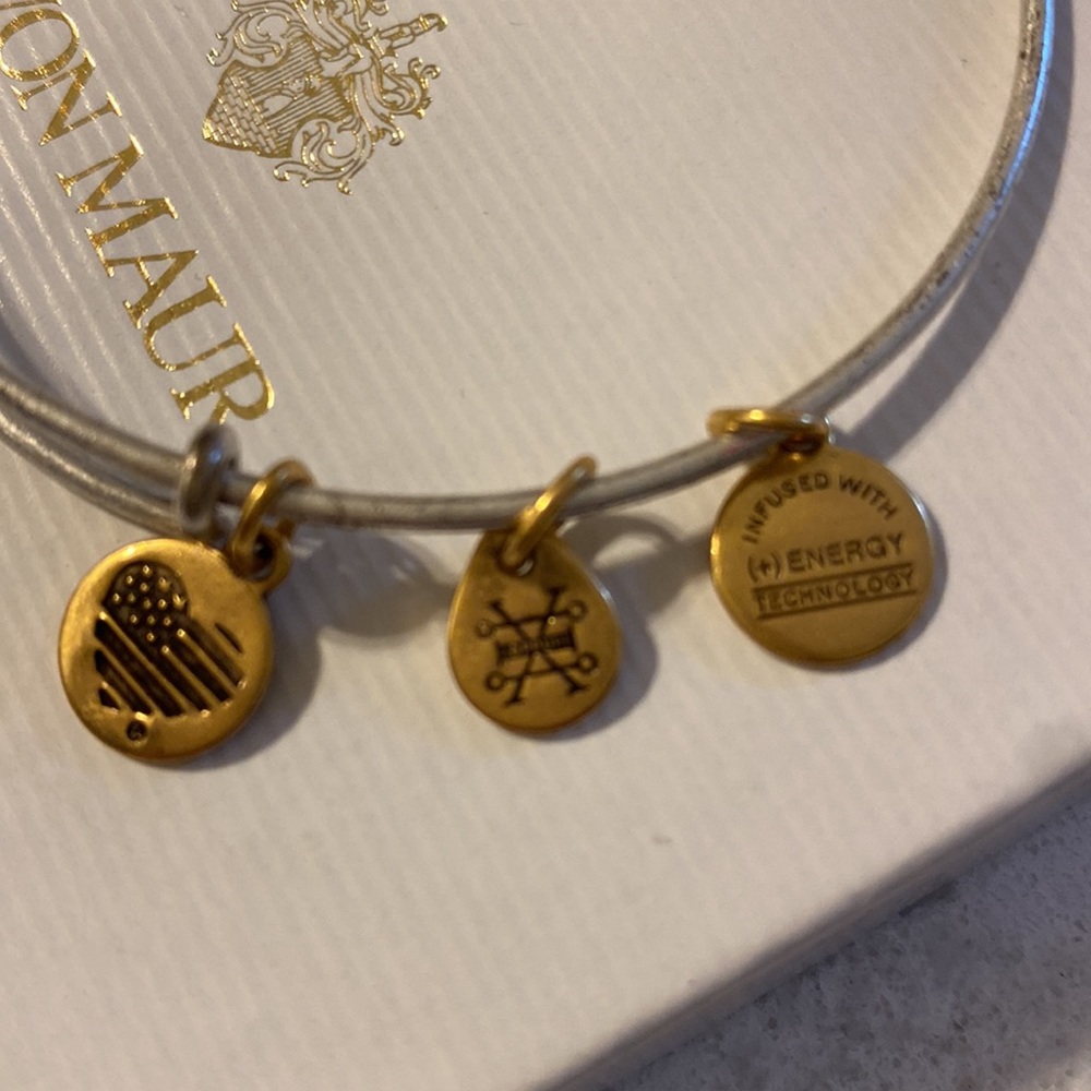 New Alex & Ani initial P silver/gold tone charm bracelet,gift box,some discolor. - Picture 5 of 10